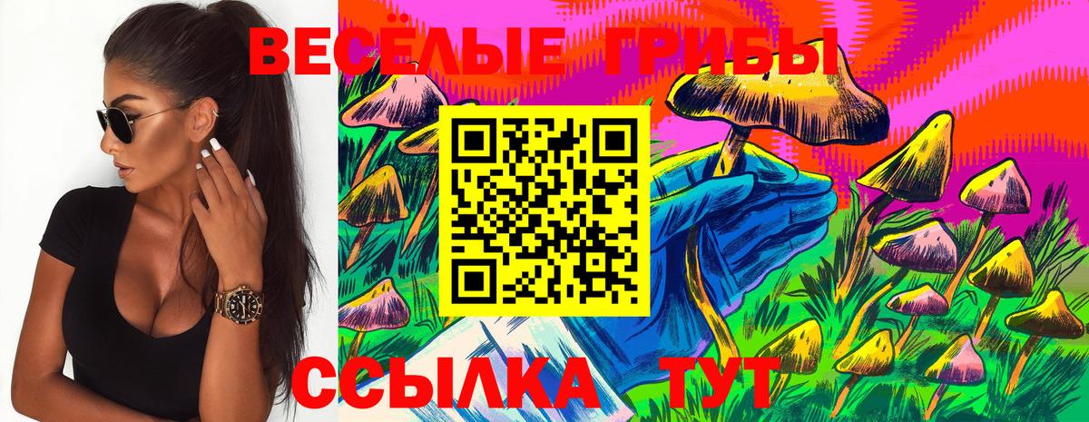 Галлюциногенные грибы Psilocybe Артёмовский