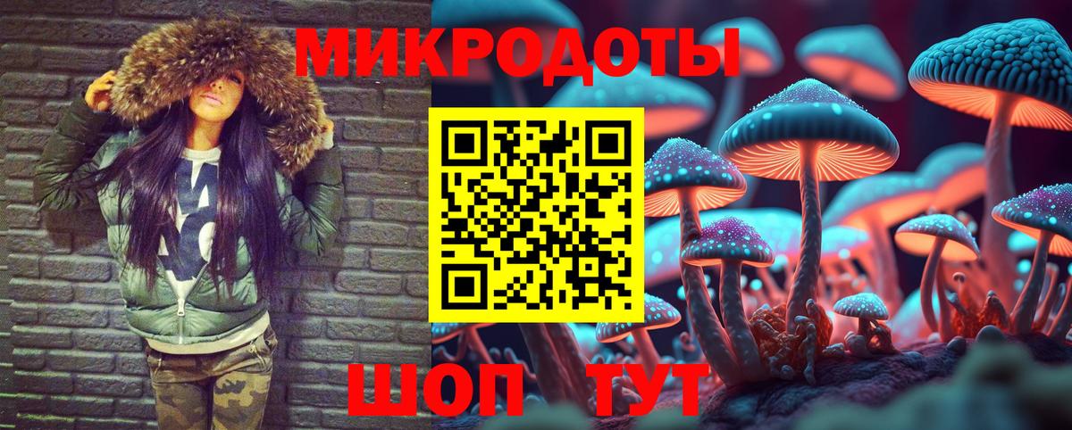 Артёмовский  где найти наркотики  Вход с VPN  Галлюциногенные грибы Psilocybe 